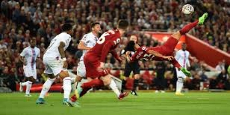 双向奔赴的选择：多宝彩票视角下的职业转折-多宝彩票