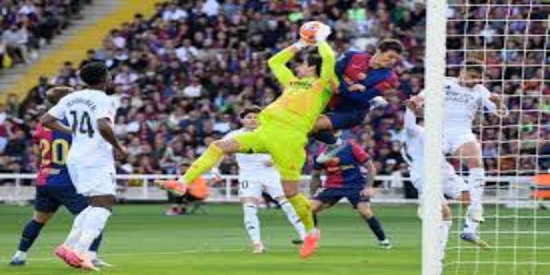 新赛季展望：多宝彩票预测塔巴努表现潜力-多宝彩票