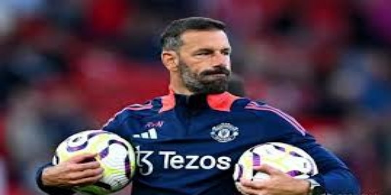 老特拉福德温情告别：球迷与范尼的多宝彩票情缘- 多宝彩票